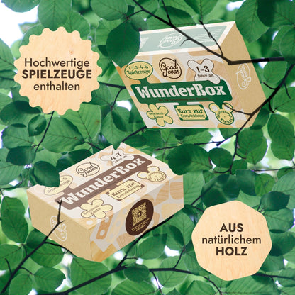 Kinder Geschenkbox 4-7 Jahre: WunderBox, Entwicklung im Spielformat