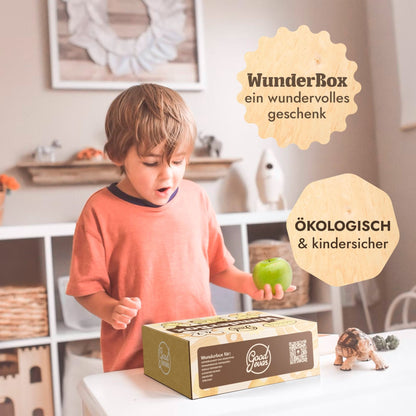Kinder Geschenkbox 4-7 Jahre: WunderBox, Entwicklung im Spielformat